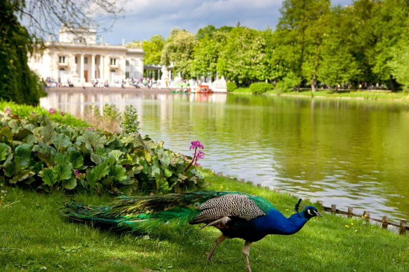 azienki Park and Palace Warsaw Private Tour with Tickets - Why Choose This Tour?