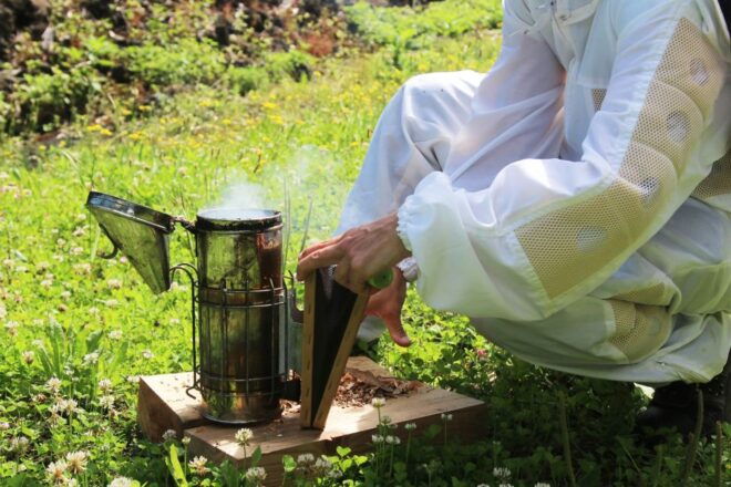 Azores Beekeeping Tour and Honey Taste - Location Details