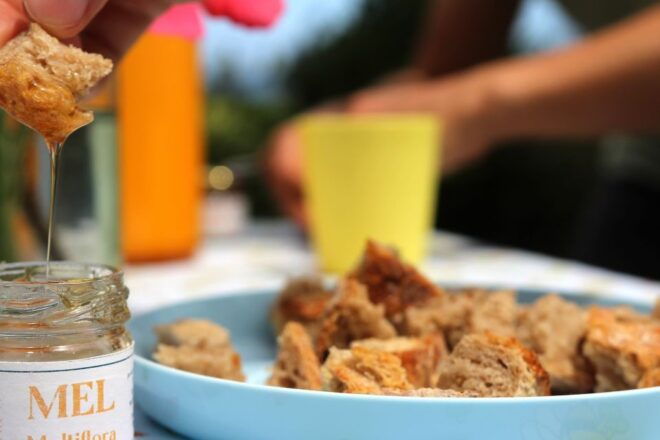 Azores Beekeeping Tour and Honey Taste - Guide Information
