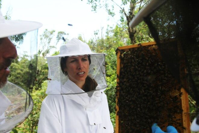 Azores Beekeeping Tour and Honey Taste - Additional Recommendations