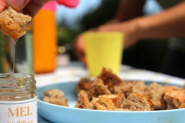 Azores Beekeeping Tour and Honey Taste - Pricing and Duration