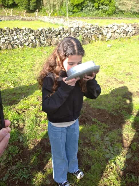 Azores: Day at the Farm with Traditional Lunch - The Sum Up