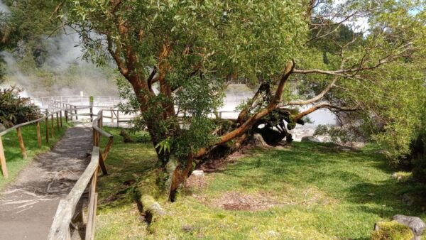 Azores: Full Day Private Tour Furnas Hot Baths & Gastronomy - Directions