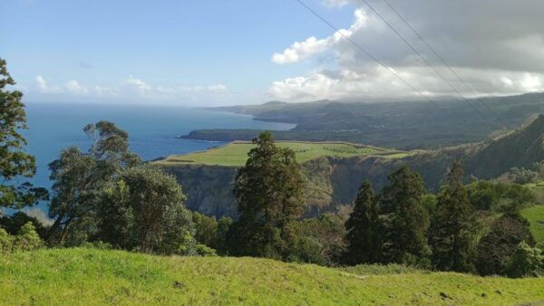 Azores: Full Day Private Tour Furnas Hot Baths & Gastronomy - Frequently Asked Questions