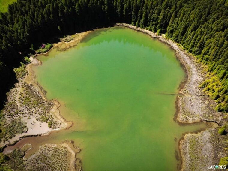 Azores Guided Tour to Volcano and Crater of Sete Cidades - Who Will Love This Tour?