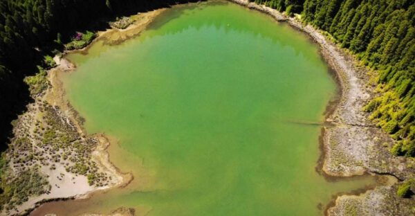 Azores Guided Tour to Volcano and Crater of Sete Cidades - Customer Reviews