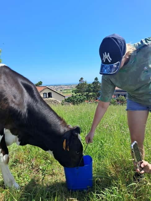 Azores: Half-Day Dairy Farm Tour - Authentic and Peaceful Connection to Nature