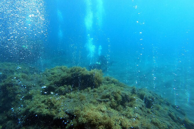 Azores, Portugal, Scuba Dive Trip  - Sao Miguel - Additional Information and Policies