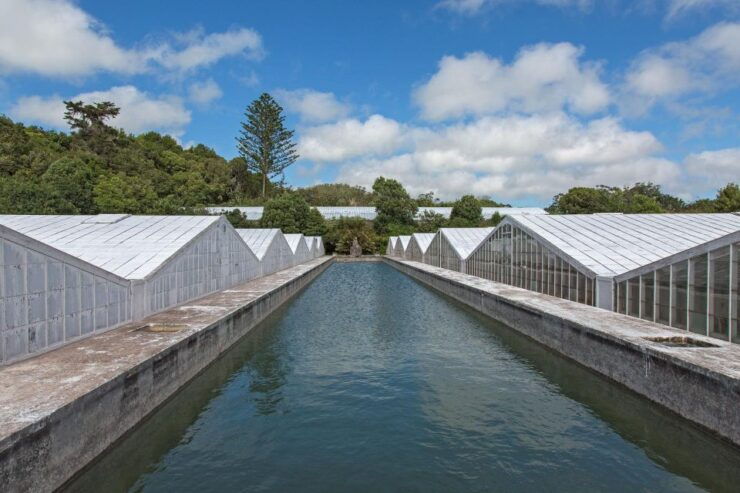 Azores: Private Tour Sete Cidades Green & Blue Lakes - Itinerary Highlights