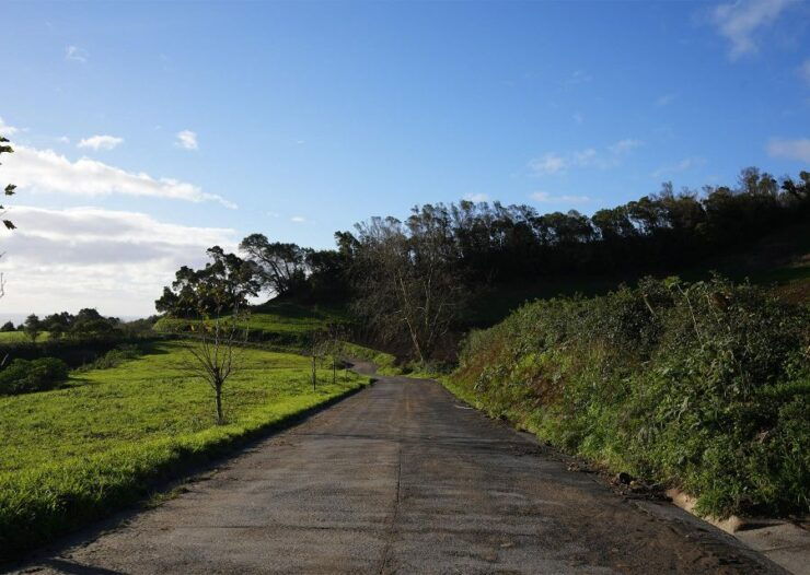 Azores: São Miguel and Lagoa Do Fogo Hiking Trip - Activity Details