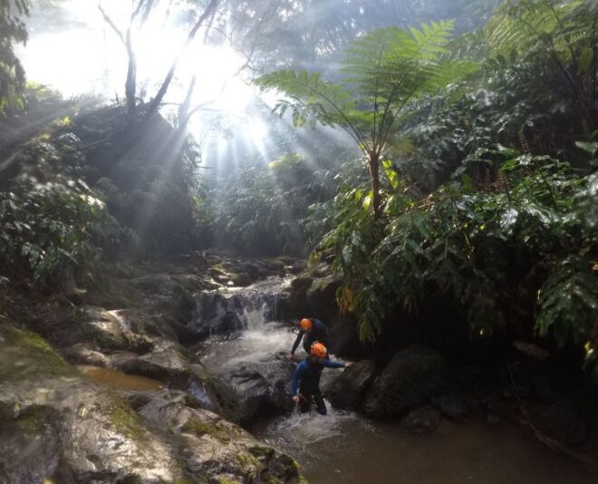 Azores - Sao Miguel: Caldeirões Canyoning Experience - Ribeira Dos Caldeirões Natural Park