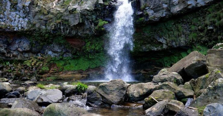 Azores São Miguel: Full Day Hike and Snorkeling With a Local - Good To Know