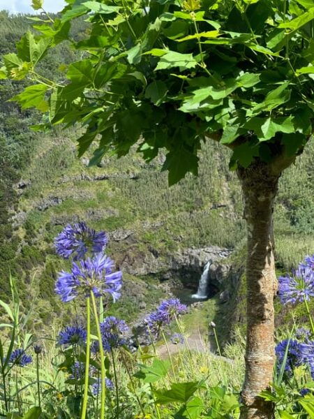 Azores São Miguel: Full Day Hike and Snorkeling With a Local - Frequently Asked Questions