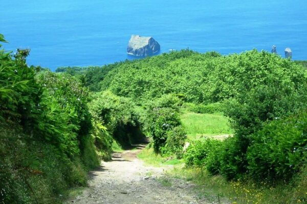 Azores: Sete Cidades Scenic Jeep Tour From Ponta Delgada - Private or Small Group Options