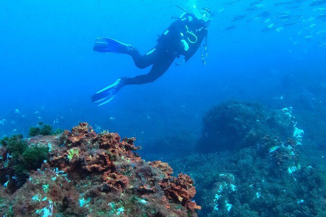 Azores Shipwreck Scuba Expedition With Hotel Pickup  - Terceira - Questions and Help Center