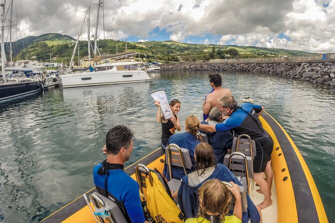 Azores Swim With Dolphins Atlantic Experience - Cancellation Policy