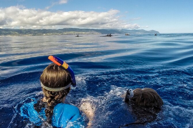 Azores Swim With Dolphins Atlantic Experience - Frequently Asked Questions