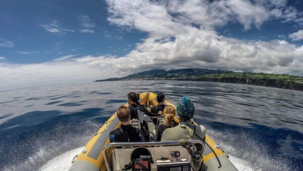 Azores: Swim With Dolphins Atlantic Experience - Frequently Asked Questions