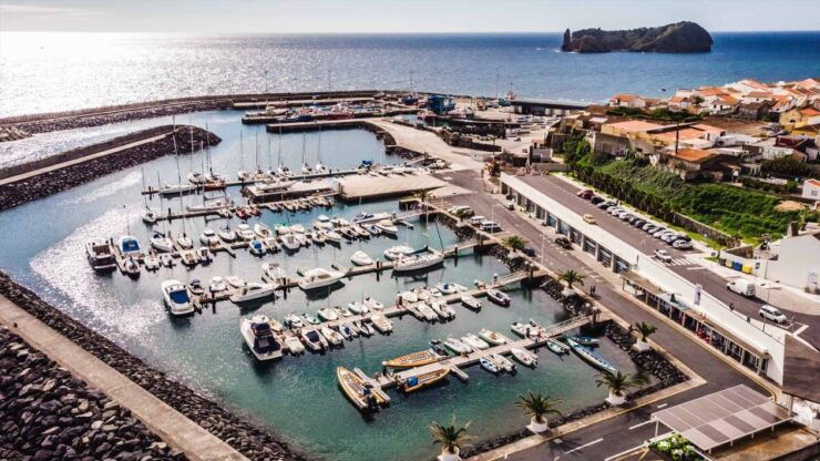 Azores: Swim With Dolphins Atlantic Experience - Activity Details