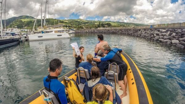 Azores: Swim With Dolphins Atlantic Experience - Common Questions