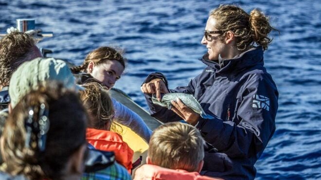 Azores: Whale Watching and Islet Boat Tour - Meeting Point and Departure