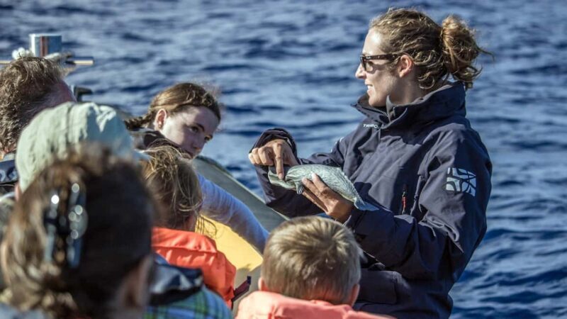 Azores: Whale Watching & Islet Boat Tour w/ Marine Biologist - Good To Know