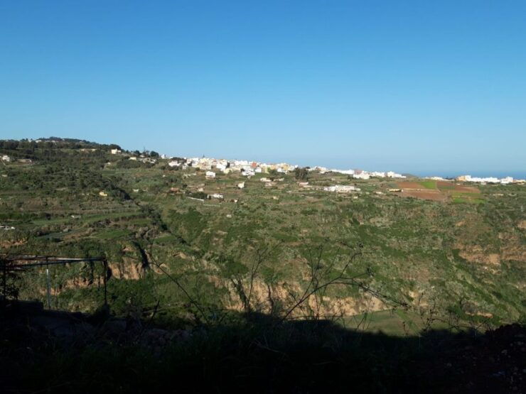 Azuaje Laurisilva Tour - Experience and Activity Highlights