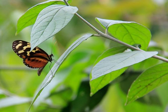 Azul Meambar National Park Day Tour From San Pedro Sula - Booking Confirmation Details