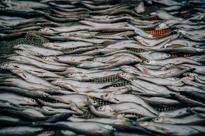 Ba Be Lake Discovery 2 Days - The Sum Up