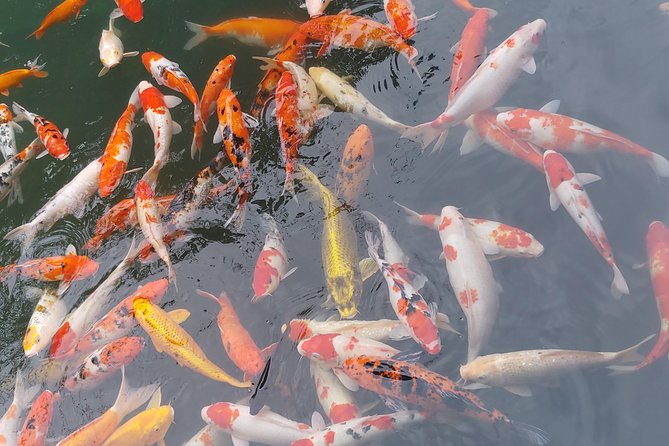 Ba Na Hills and Golden Bridge Private Day Tour From Hoi an - Directions