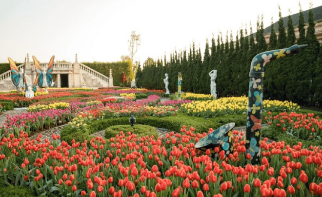Ba Na Hills – Golden Bridge Full Day Tour - The Sum Up