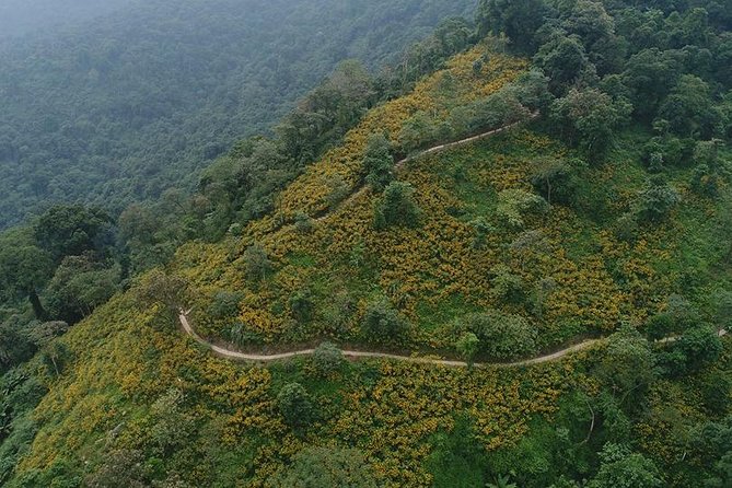 Ba Vi National Park Private Day Tour Sightseeings; Short Trekking - Meeting Points