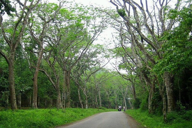 Ba Vi National Park Private Day Tour Sightseeings; Short Trekking - Directions for the Tour