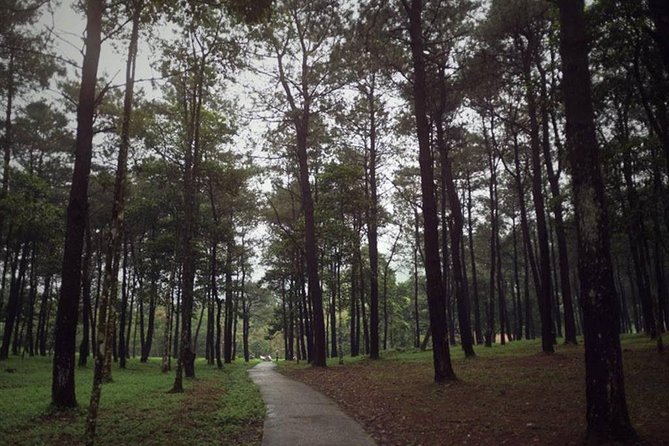 Ba Vi National Park Private Day Tour Sightseeings; Short Trekking - Additional Information