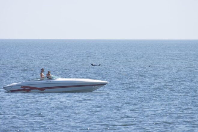 Baabe on Rügen: Seal-Spotting Cruise in the Baltic - Customer Reviews