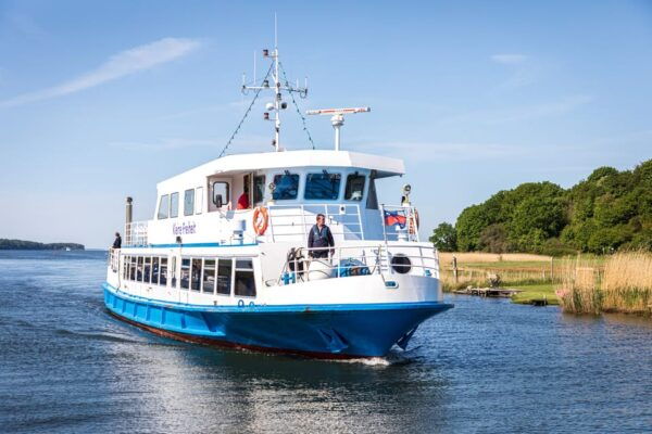 Baabe on Rügen: Seal-Spotting Cruise in the Baltic - Tips for Seal-Spotting