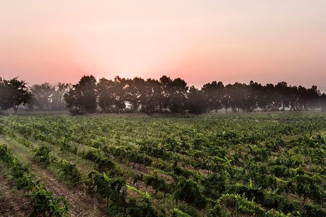 Baalback , Anjar & Chateau Ksara - Frequently Asked Questions