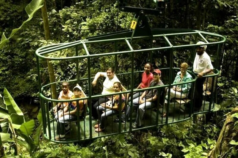 Babonneau/Castries: Rainforest Zip Line, Tram, and Hike Tour - Good To Know