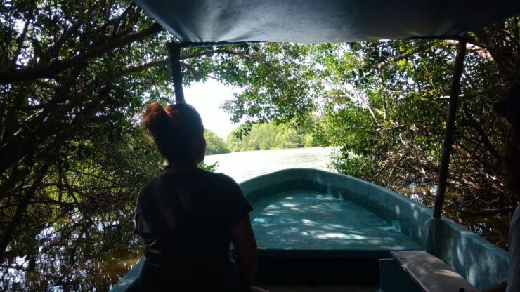 .Baby Turtle Release, Lagoon Boat Ride, and Crocodile Farm - Tour Overview and Logistics
