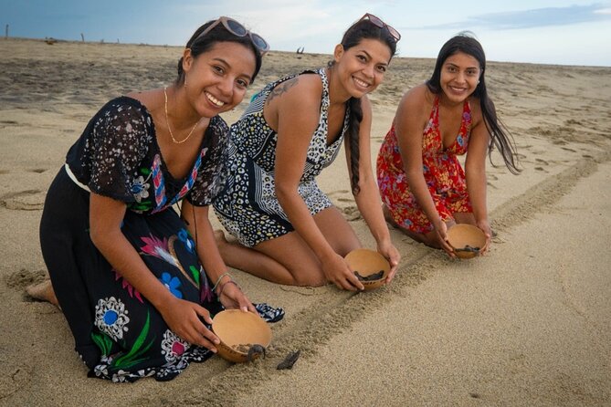 Baby Turtle Release Tour Pick up Courtesy in Puerto Escondido! - Tour Details
