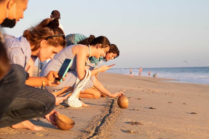 Baby Turtle Release Tour Pick up Courtesy in Puerto Escondido! - Inclusions