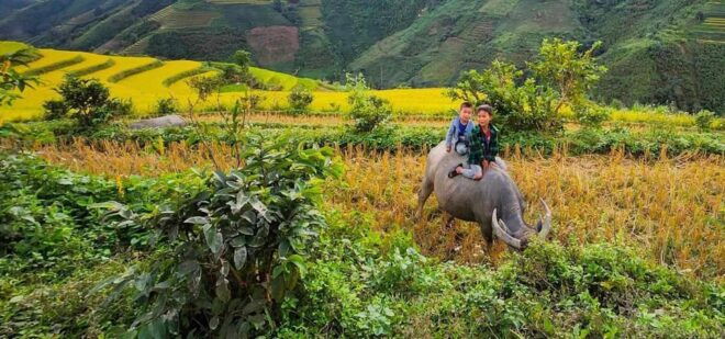 BAC HA - BAN LIEN 3 DAYS - Cultural Highlights