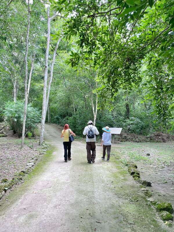 Bacalar: Calakmul daytour ruins and walk in the jungle.. - Good To Know