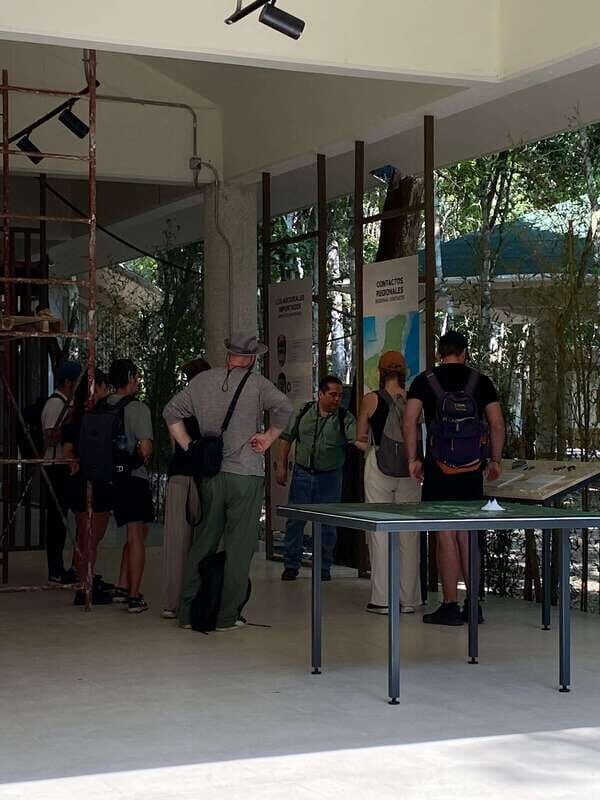 Bacalar: Calakmul Ruins Day Trip with a Stop In The Jungle - Jungle Walk & Wildlife Encounters