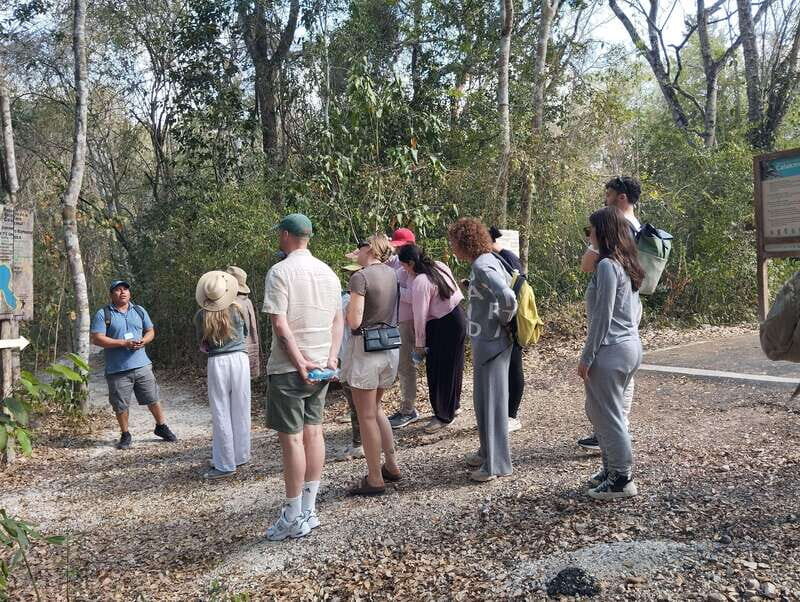 Bacalar: Calakmul Ruins Day Trip with a Stop In The Jungle - Scenic Drives and Rest Stops