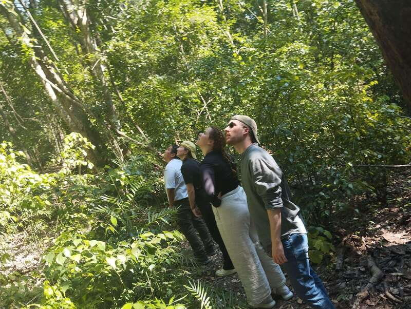 Bacalar: Calakmul Ruins Day Trip with a Stop In The Jungle - Whats Included and Whats Not