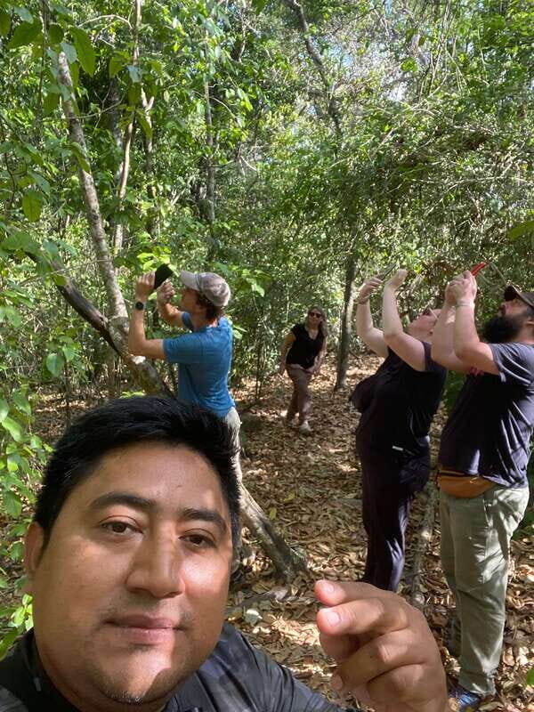 Bacalar: Calakmul Ruins Day Trip with a Stop In The Jungle - Final Thoughts