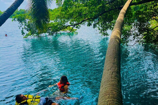 Bacalar Lagoon & Kayak Tour in Club Marmol from Playa del Carmen - A Deep Dive into the Bacalar Lagoon & Kayak Tour  
