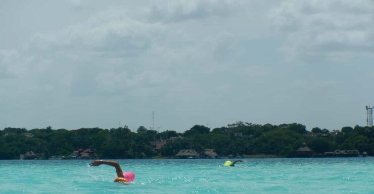Bacalar Lagoon Open Water Swimming Experiences - Good To Know