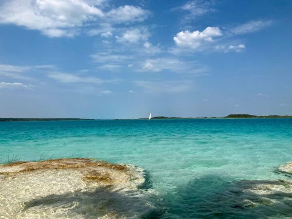Bacalar Lagoon Open Water Swimming Experiences - Exclusions and Restrictions